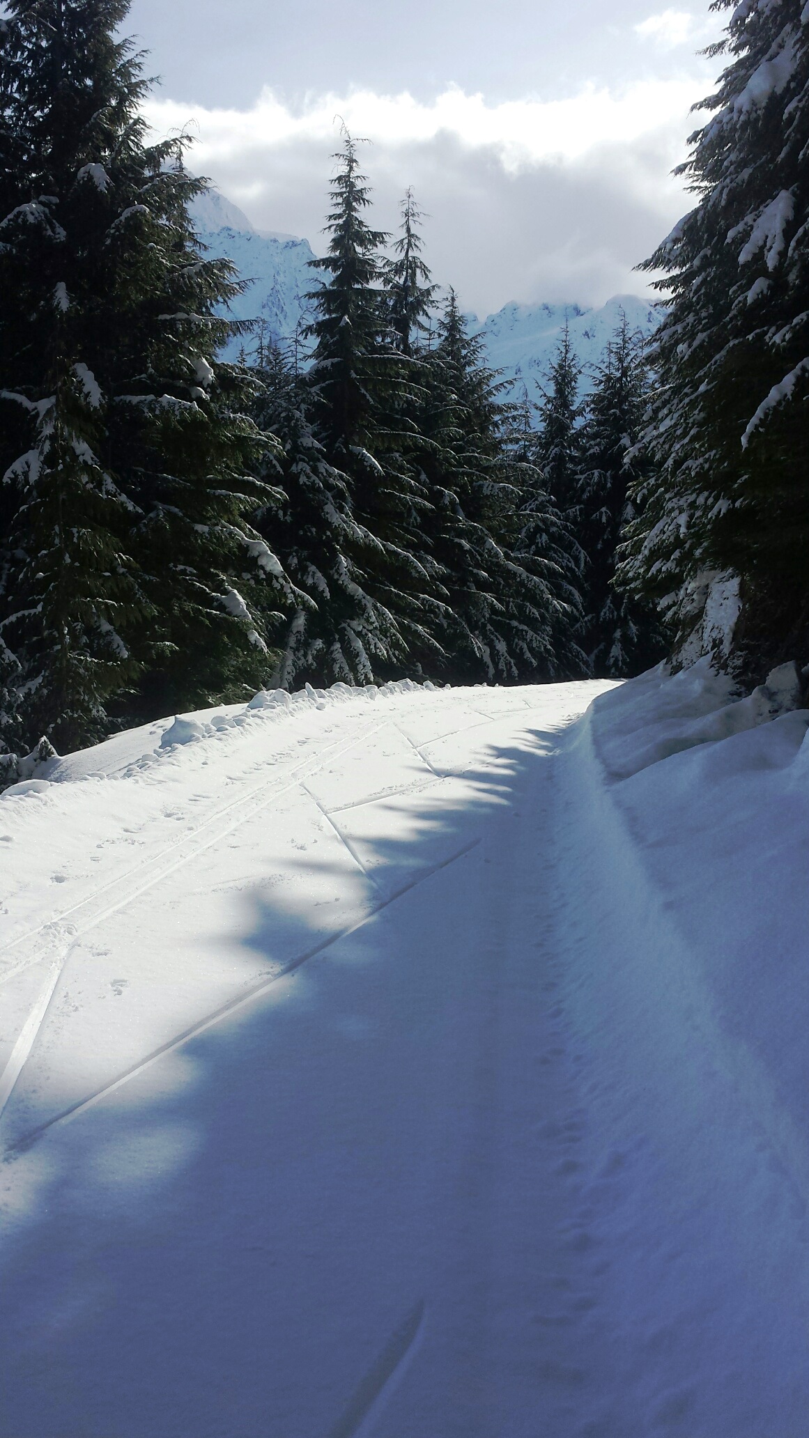 Archived grooming Nooksack Nordic Ski Club