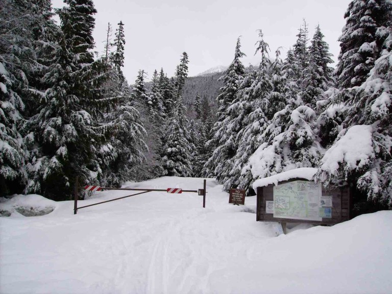 Nooksack Nordic Ski Club Bellingham, Mt. Baker, County