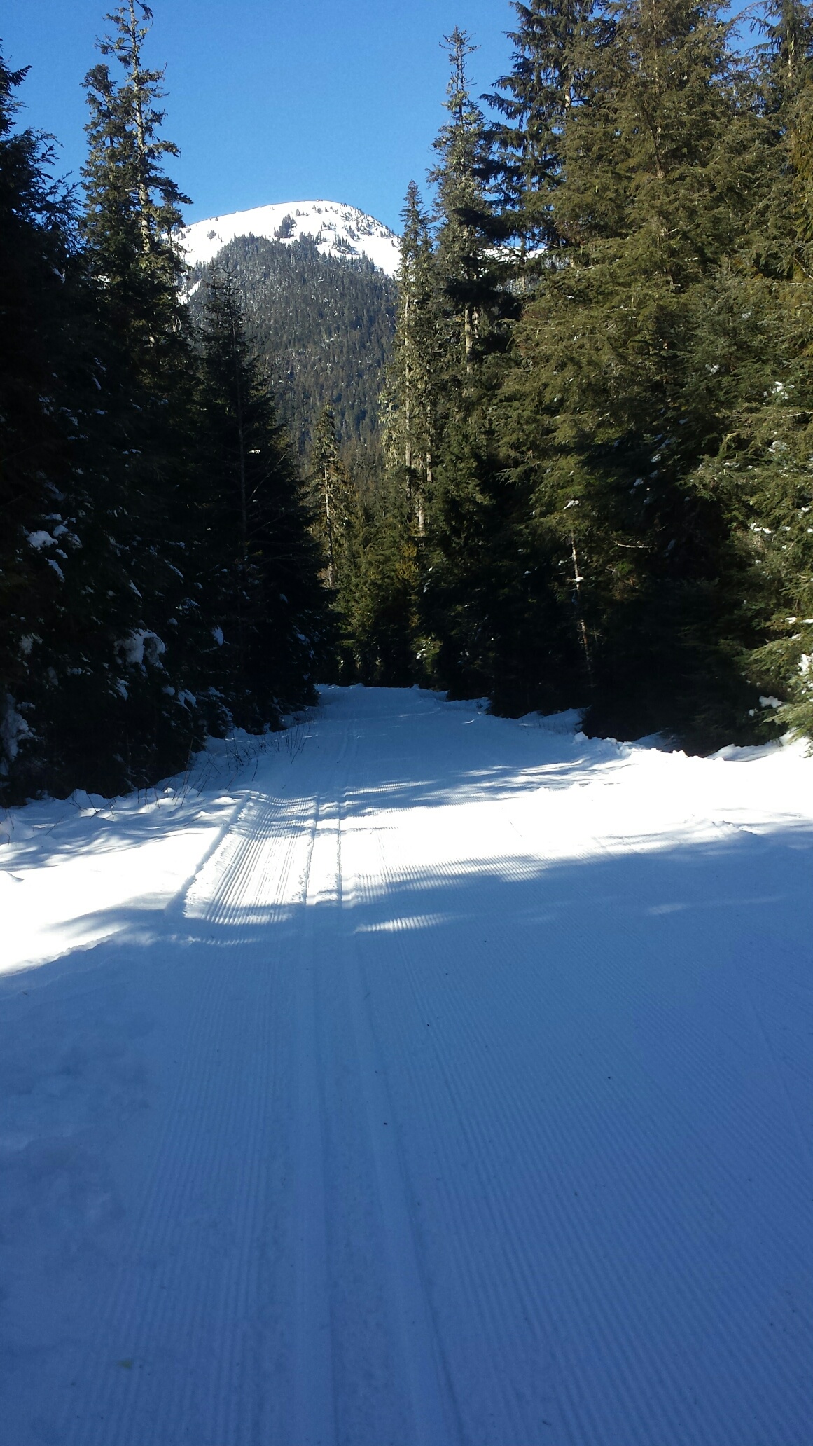 Archived grooming Nooksack Nordic Ski Club