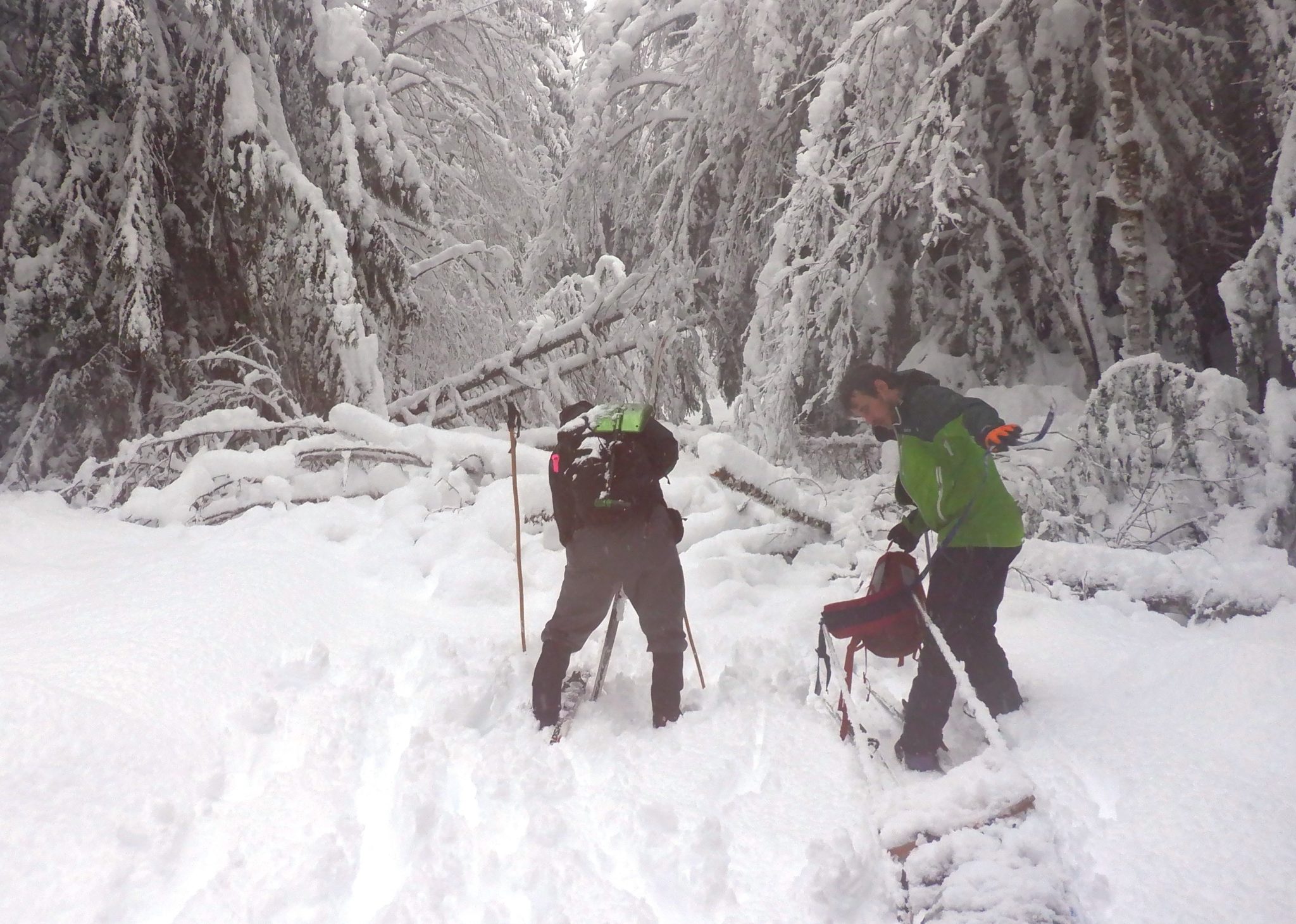 Grooming and Conditions Nooksack Nordic Ski Club
