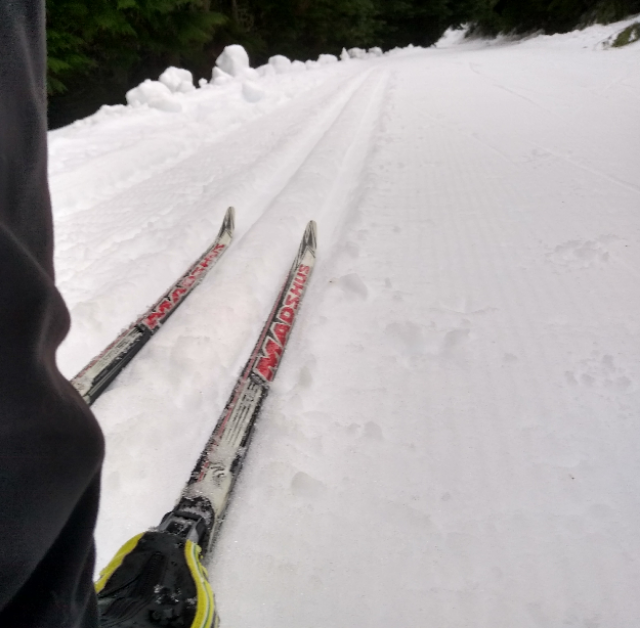 Grooming and Conditions Nooksack Nordic Ski Club