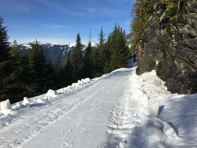 Grooming and Conditions Nooksack Nordic Ski Club