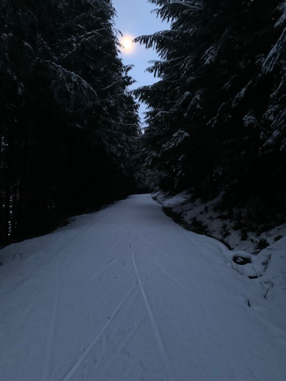 Grooming and Conditions Nooksack Nordic Ski Club
