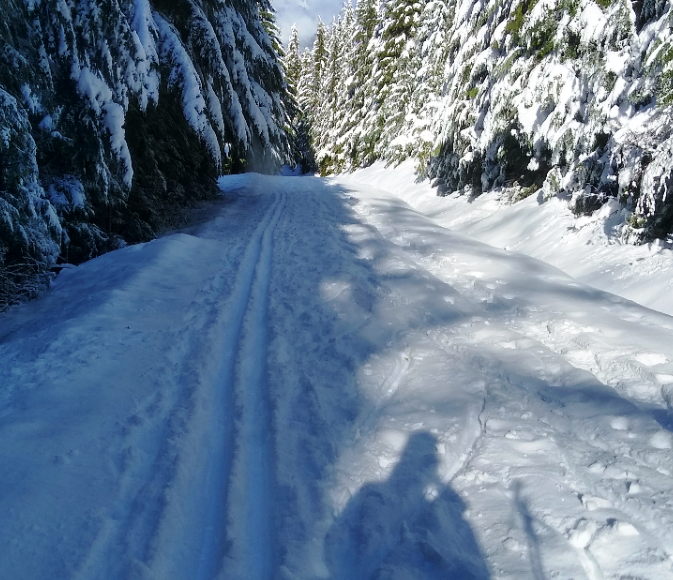 Grooming and Conditions Nooksack Nordic Ski Club