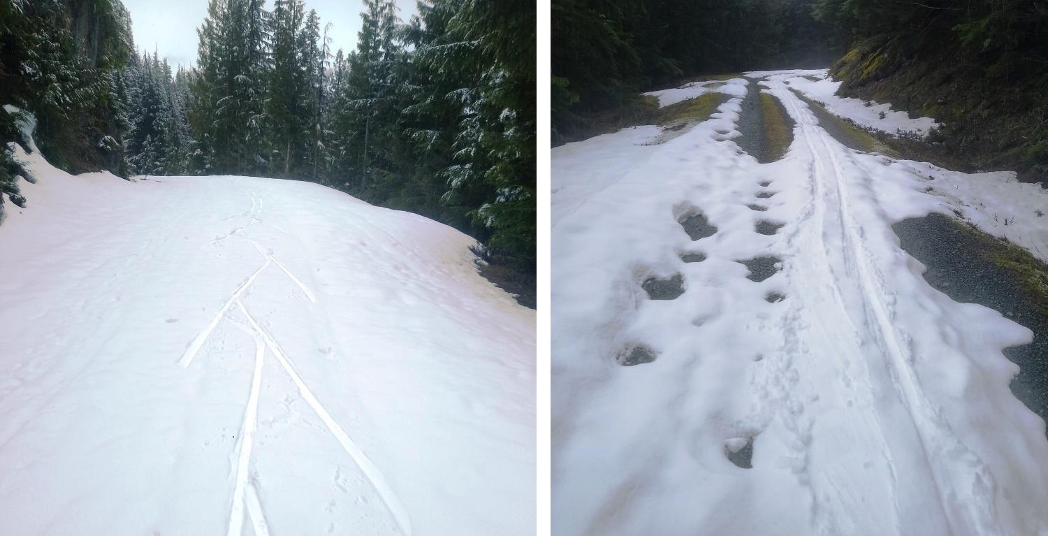 Grooming and Conditions Nooksack Nordic Ski Club